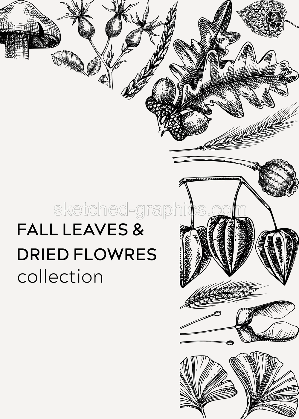 Autumn design with fall leaves and dried flowers. Thanksgiving background. Fall card or invitation. Sketched dried flowers, falling leaves, mushrooms vector frame. Vintage botanical illustration.  Illustration